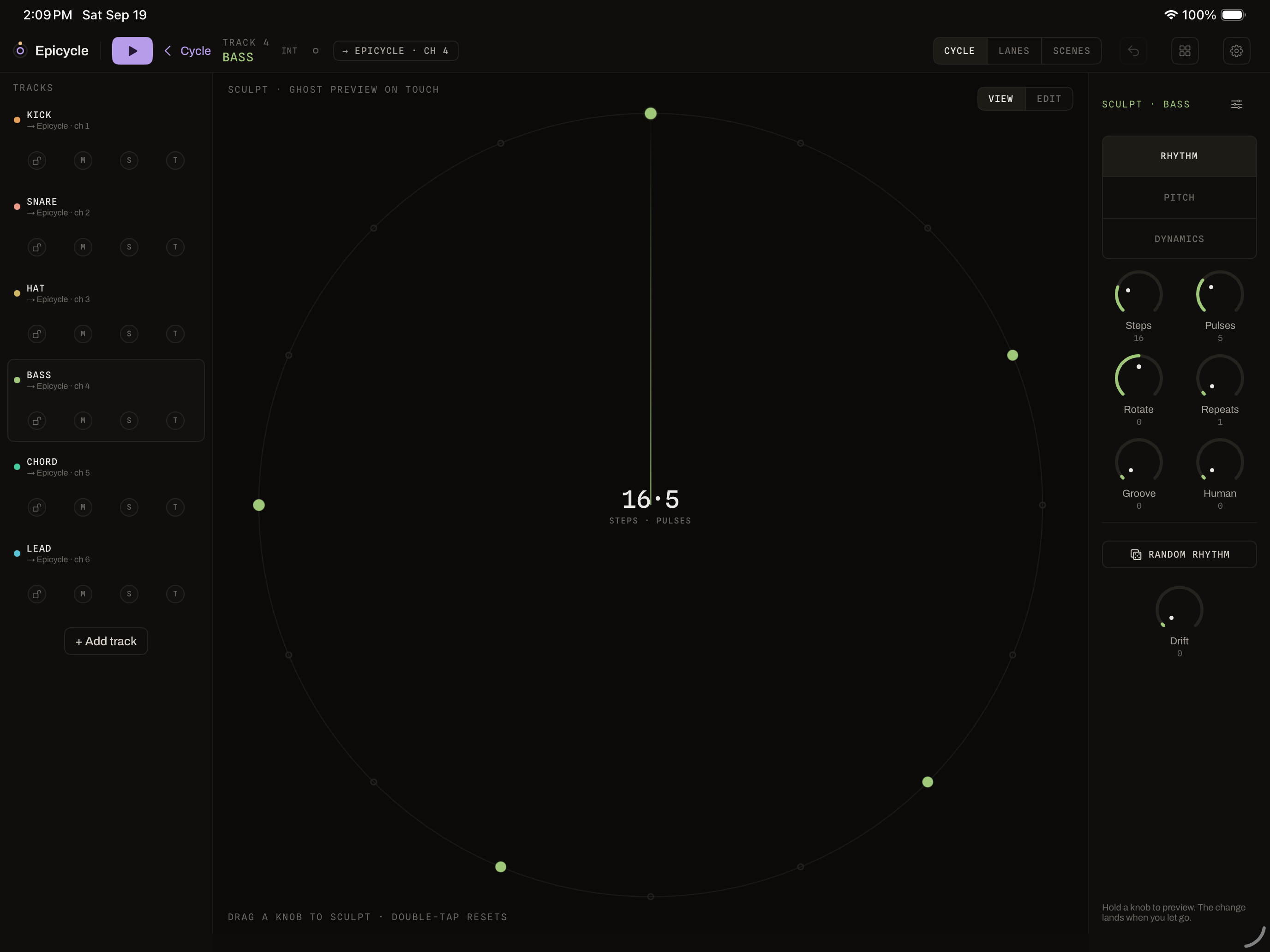 Epicycle in-app Sculpt view showing rhythm controls for the bass track
